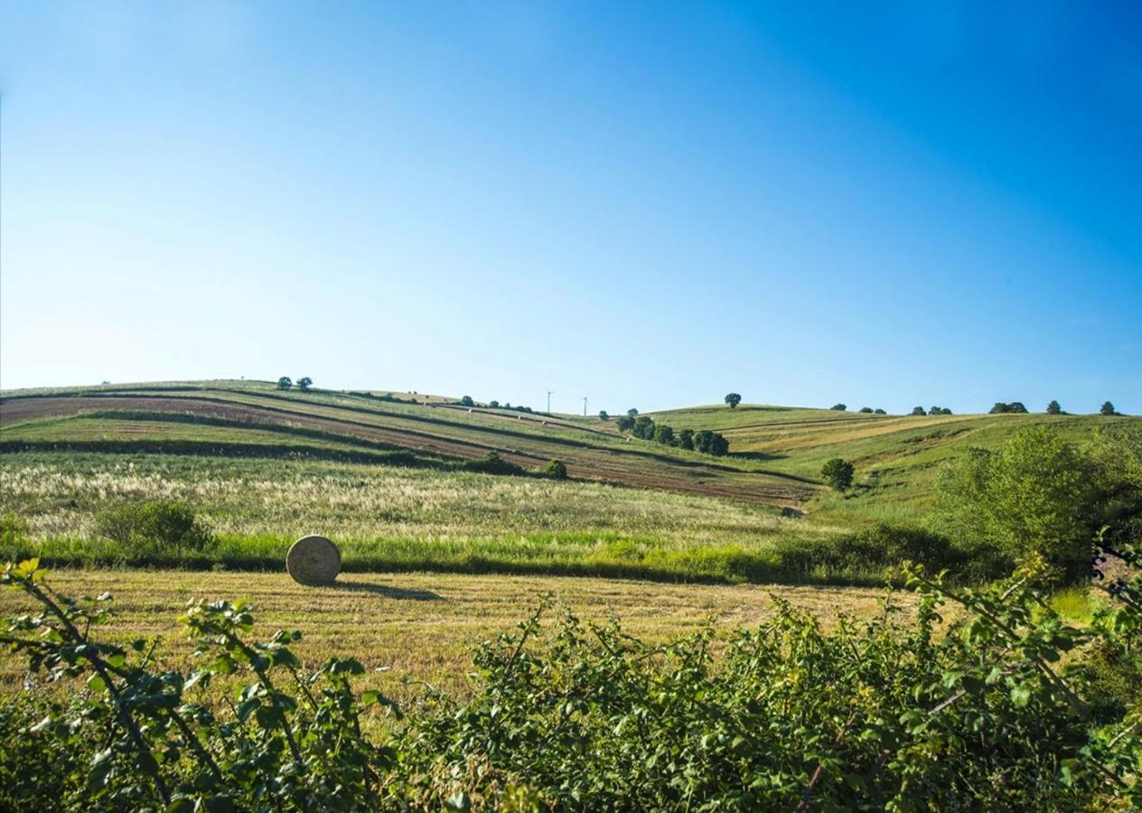 Le Pitture Casa Di Campagna Filiano Eksteriør billede