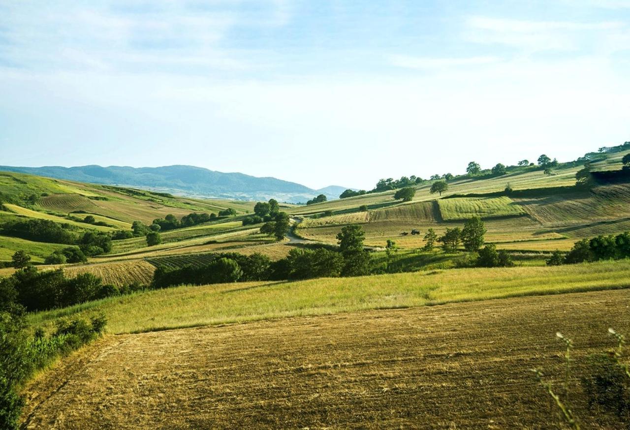 Le Pitture Casa Di Campagna Filiano Eksteriør billede